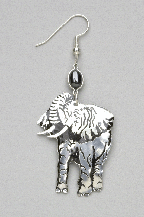 Elephant, Bull, Paua
